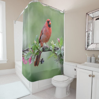 rideau de douche cardinal