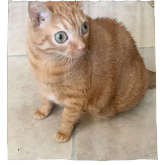 Rideau de Douche Chat aux Grands Yeux