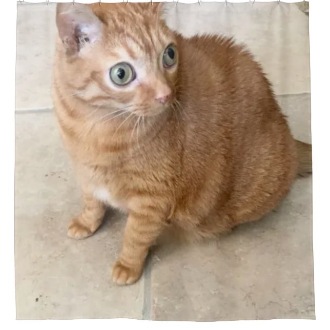 Rideau de Douche Chat aux Grands Yeux (Devant)