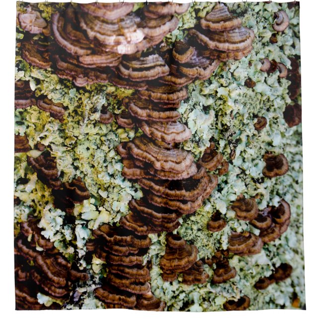 Rideau de douche de champignons Brown et vert (Devant)