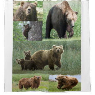 Rideau de douche d'ours