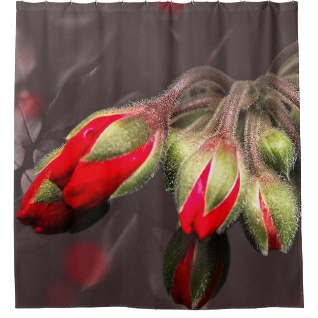 Rideau De Douche Fleur Rouge Et Foncé (Devant)