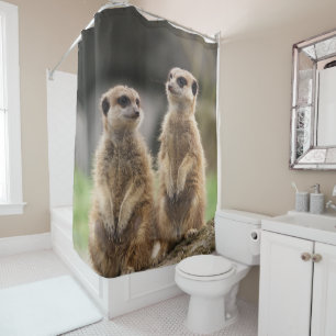 Rideau de douche Meerkat
