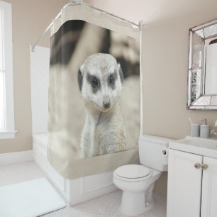 Rideau de douche Meerkat