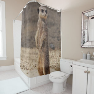 Rideau de douche Meerkat