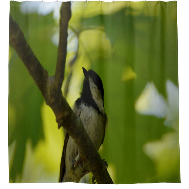 RIDEAU DE DOUCHE MÉSANGE À TÊTE NOIRE (Devant)