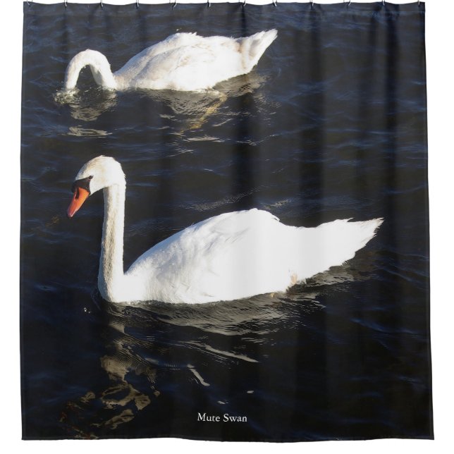 Rideau de douche Mute Swan (Devant)