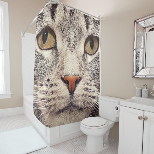 Rideau de douche pour chat de compagnie en gros pl (En situation)