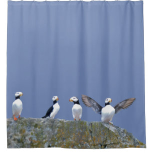 Rideau en douche avec des macareux