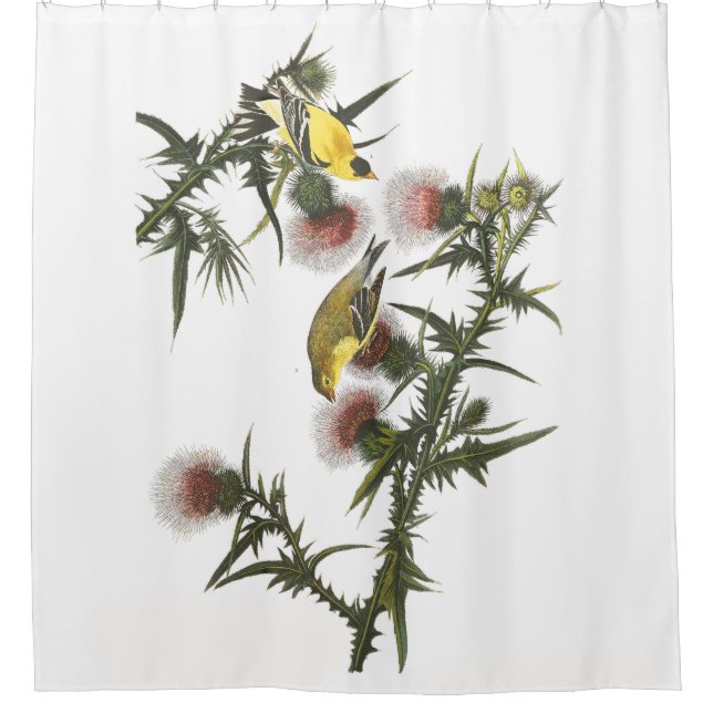 Rideau en douche d'Audubon de faune d'oiseaux de (Devant)