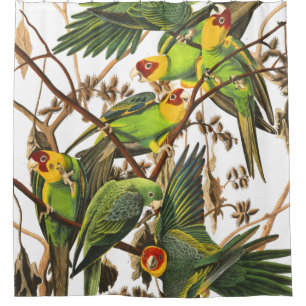 Rideau en douche d'Audubon de faune d'oiseaux de