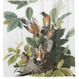 Rideau en douche d'Audubon de nid de faune
