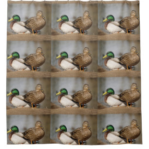 Rideau en douche de canards de Mallard