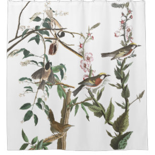 Rideau en douche de faune d'Audubon d'oiseaux de