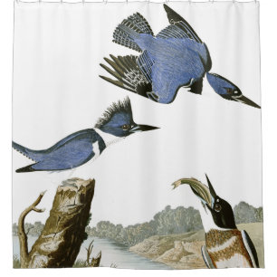 Rideau en douche de faune d'oiseaux de