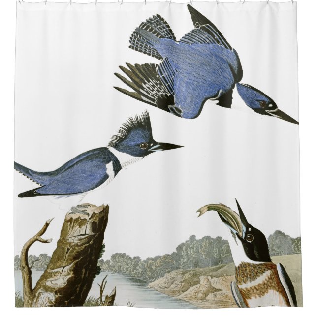 Rideau en douche de faune d'oiseaux de (Devant)