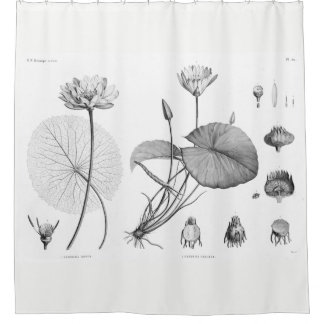 Rideau en douche de Lotus