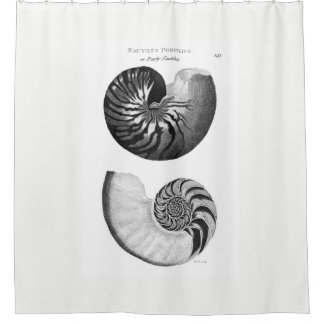 Rideau en douche de Nautilus