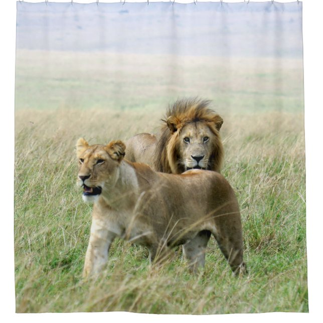 Rideau en douche de paires de lion (Devant)
