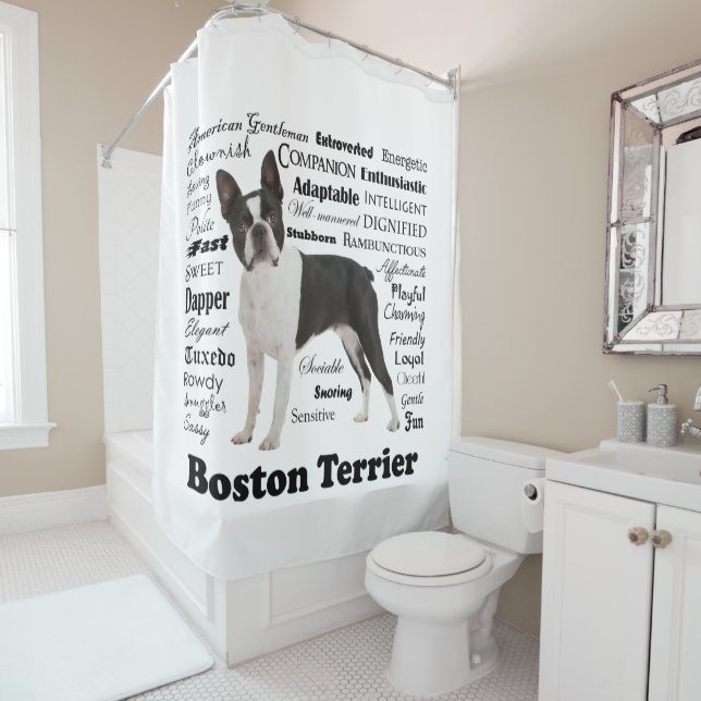 Rideau en douche de traits de Boston Terrier (En situation)