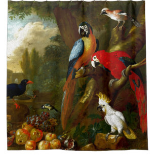 Rideau en douche d'oiseaux de perroquets de