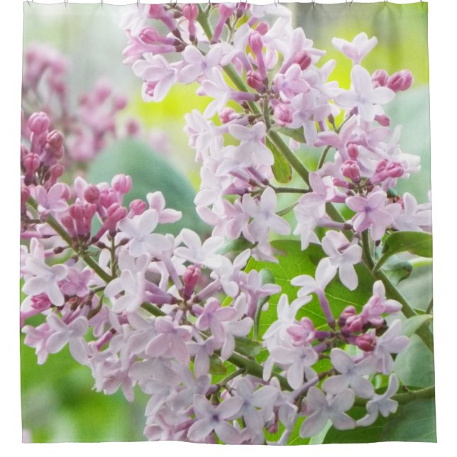 Rideau en douche lilas (Devant)