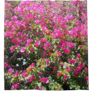 Rideau en douche rose d'impression de Bush de