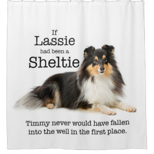 Rideau en douche tricolore de Sheltie de Timmy
