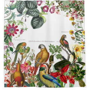 Rideau en douche tropical d'oiseaux de perroquet
