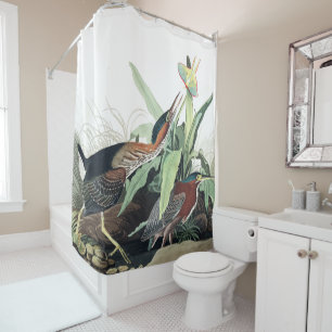 Rideau en douche vert de faune d'Audubon d'oiseaux