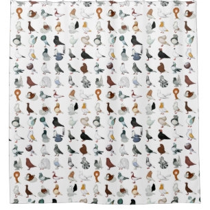Rideaux De Douche 36 races de pigeon