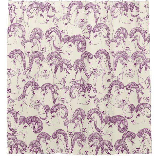 Rideaux De Douche Alaskan Dall mouton perle violette (Devant)