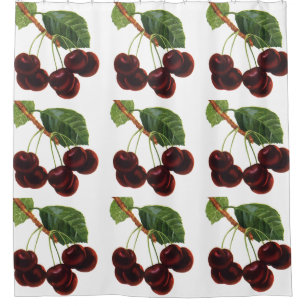 Rideaux De Douche Aliments de fruits vintage, cerises mûres d'un arb