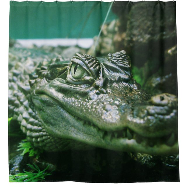 Rideaux De Douche Alligator (Devant)