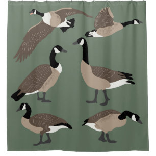 Rideaux De Douche Amateurs d'oiseaux Canada Oies Illustration Sage G