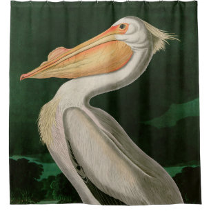 Rideaux De Douche American White Pelican Birds of America Audubon