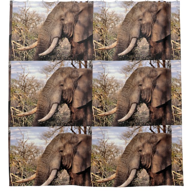 Rideaux De Douche Amoureux de l'art des éléphants (Devant)