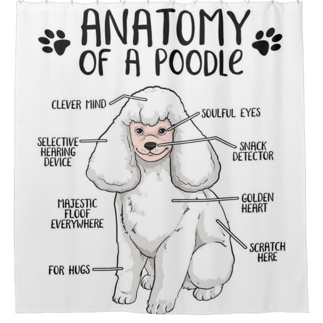 Rideaux De Douche Anatomie D'Un Don D'Amant De Poodle (Devant)