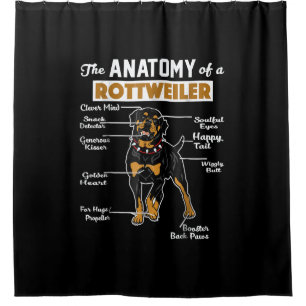 Rideaux De Douche Anatomie d'un Rottweiler