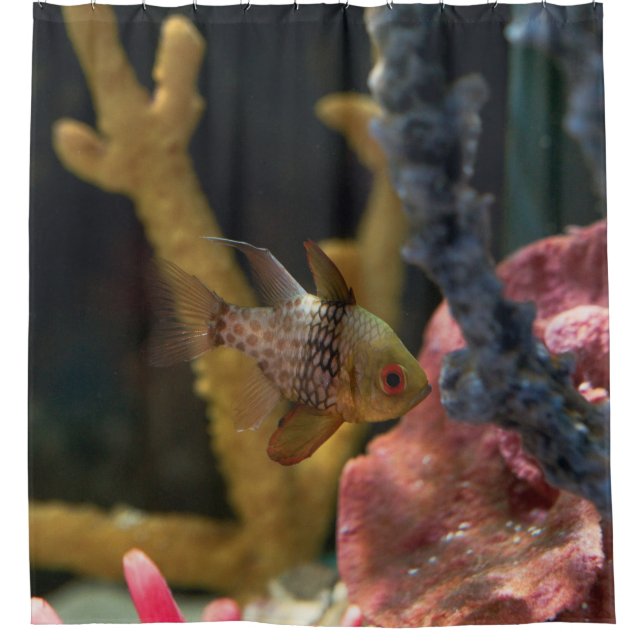 Rideaux De Douche Animaux marins (Devant)