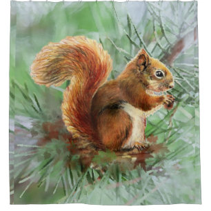 Rideaux De Douche Aquarelle Écureuil rouge dans l'arbre Animal Natur