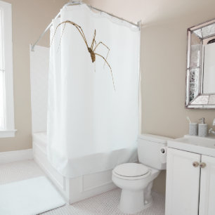 Rideaux De Douche Araignée