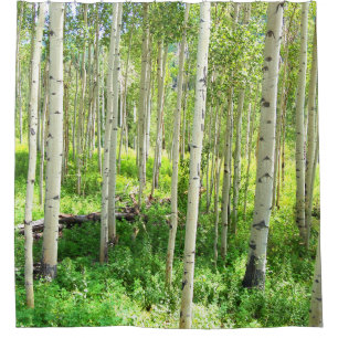 Rideaux De Douche Arbres d'Aspen
