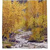 Arbres de tremble colorés d'automne à Morrison Col