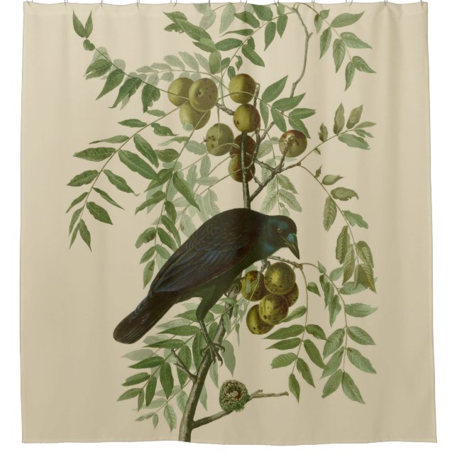 Rideaux De Douche Audubon American Crow Black Bird (Devant)