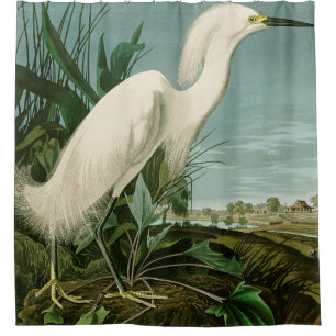 Rideaux De Douche Audubon Héron de neige Oiseaux d'aigrettes blanche