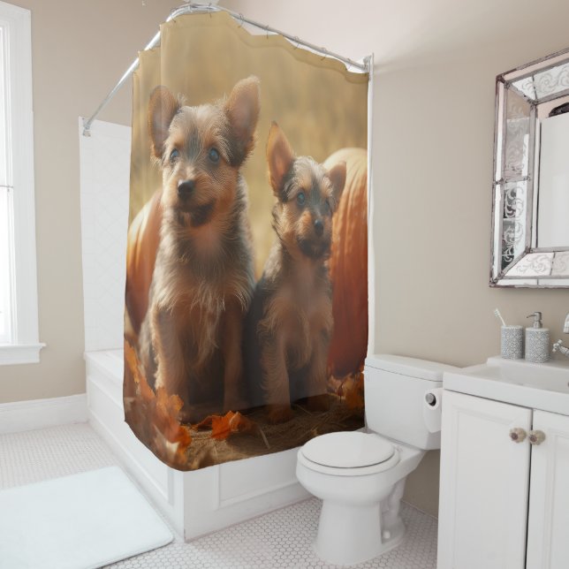 Rideaux De Douche Australien Terrier Chiot Automne Citrouille de pla (En situation)
