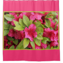 Azalée fuchsia humide