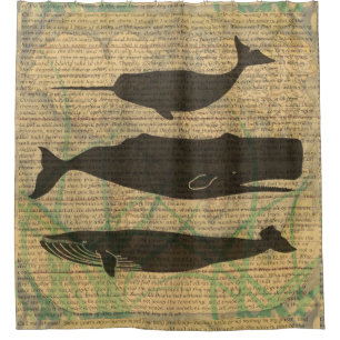 Rideaux De Douche Baleine antique Vie marine
