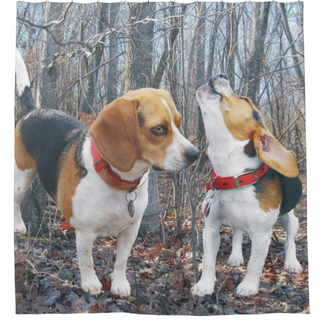 Rideaux De Douche Beagles dans les bois (Devant)